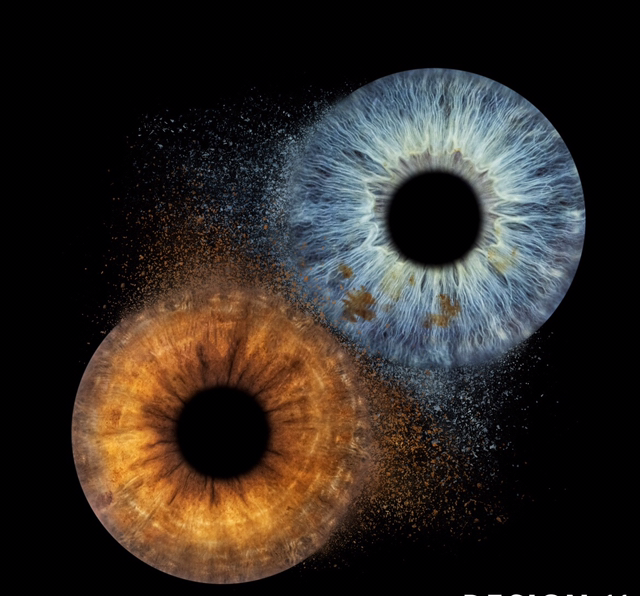 Iris Fotografie für 2 Personen 