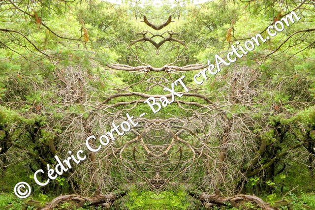 Impression sur alu dibond - Entre réel et irréel (ref 1413 R2)