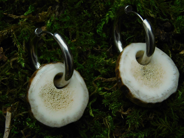 Créoles métal et nature