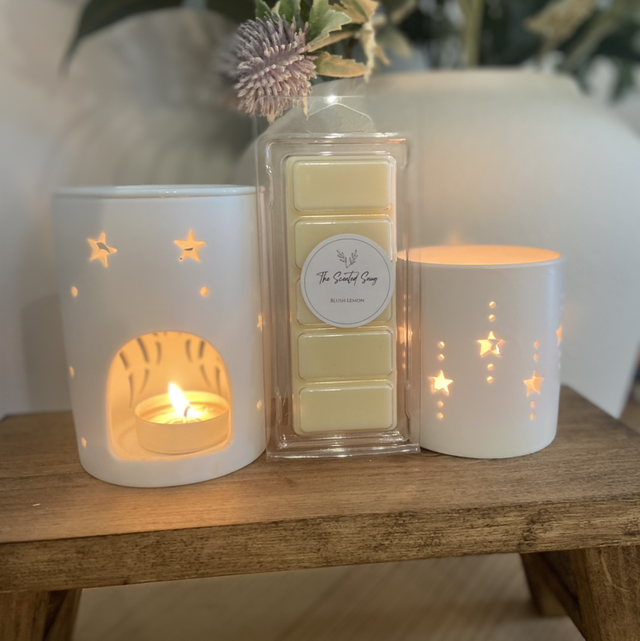 Blush Lemon - Wax Melt Snap Bar