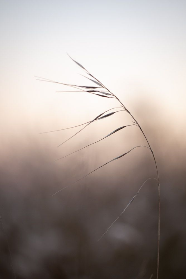 Vue sur l’océan 7
