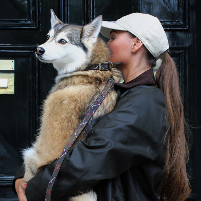 Barbour hondenriem classic tartan 