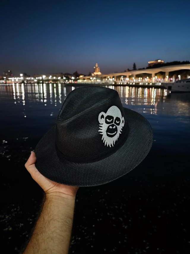 🎩 Sombrero // Hat