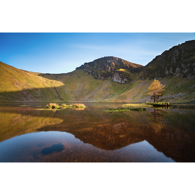 Glanteenassig Wood - Gleann Tí an Easaigh