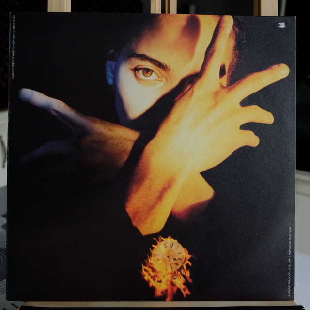 TERENCE TRENT D&#039;ARBY - Neither fish nor flesh