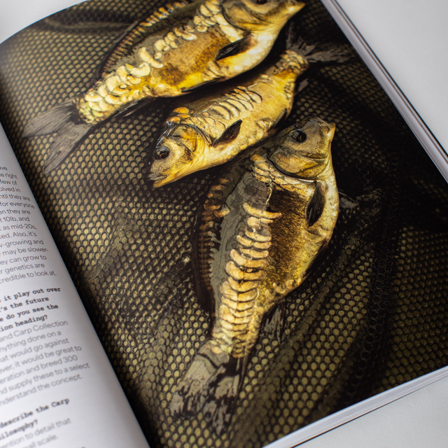 Subsurface Magazine Issue (004 winter 25)