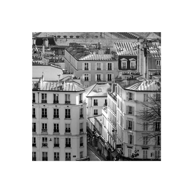 Les toits de Montmartre 