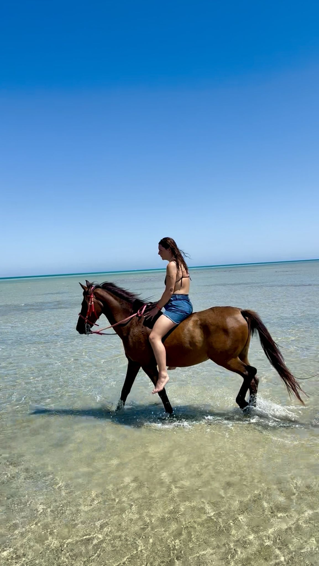 Balade à cheval + nage avec le cheval