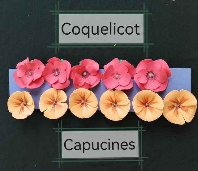 Barrette pince cheveux Br 09