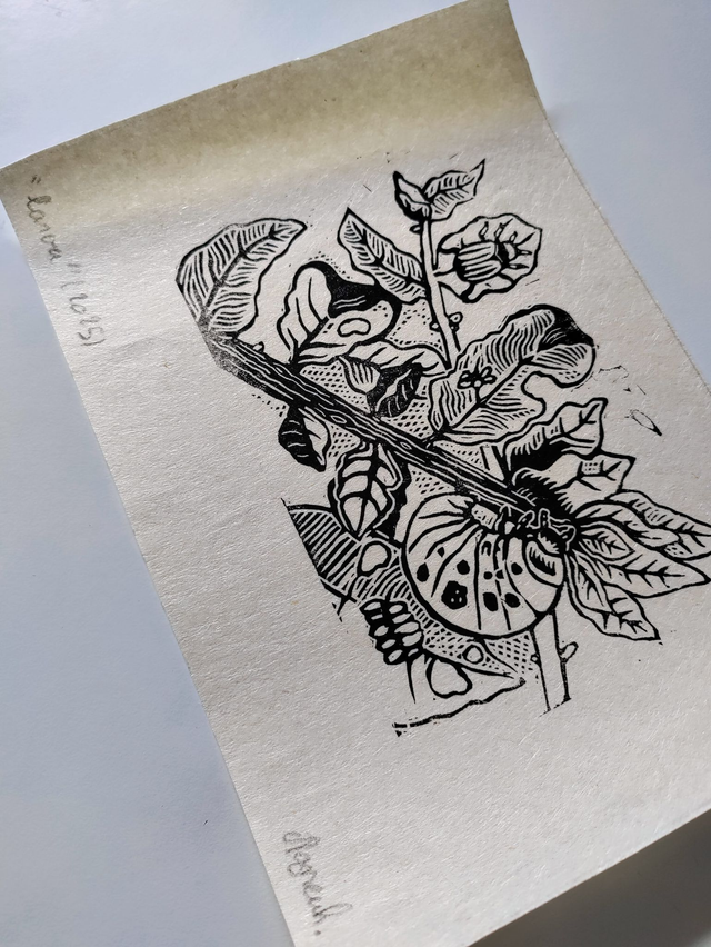 "Larve" impression Format A5