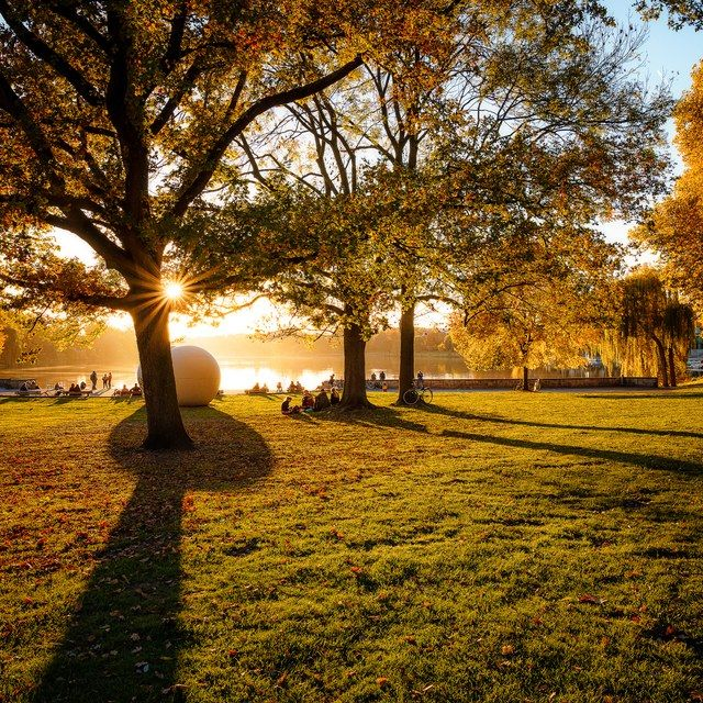 Abendlicht auf der Aaseewiese