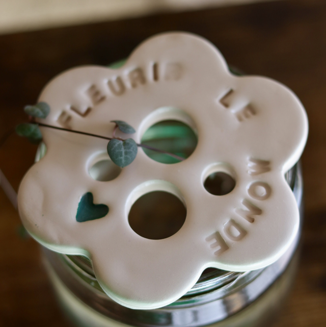 Disque de bouturage 🌱