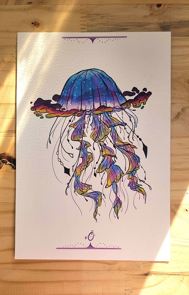 Méduse arc-en-ciel - Illustration A5