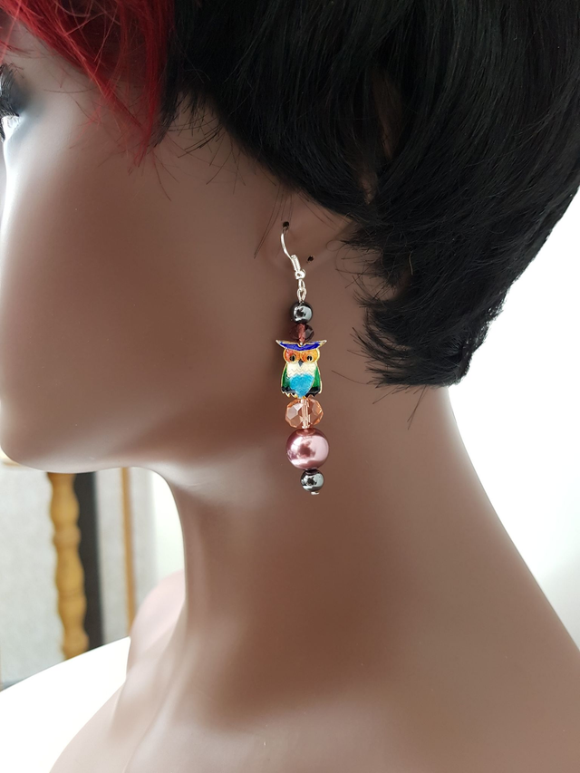 Boucles D&#039;oreilles Hibou Coloré Avec Perles