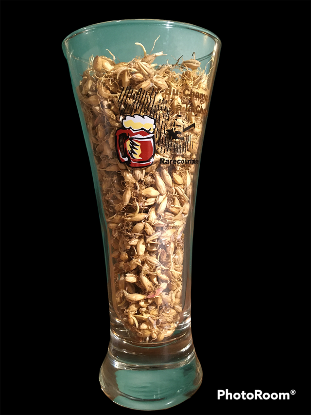 Verres "Champ à la Chope"