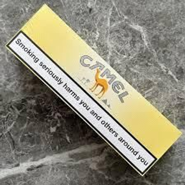 Camel Yellow Carton 