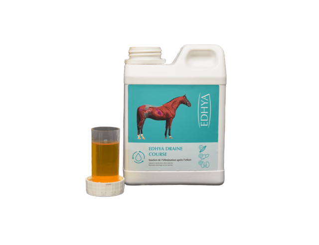Edhya DRAINE COURSE 1 L
