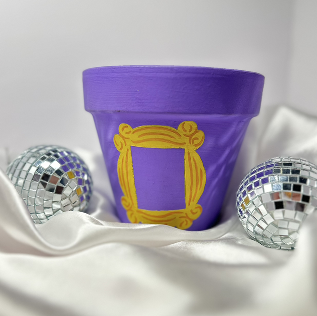 ‘Friends’ inspired Plant pot