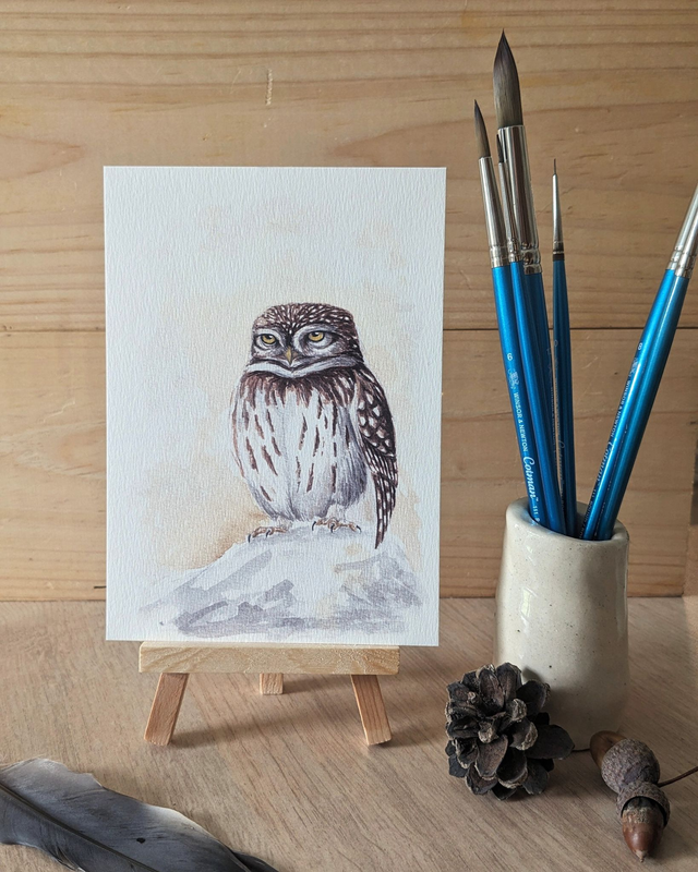 La Chevêche d'Athéna - carte A6