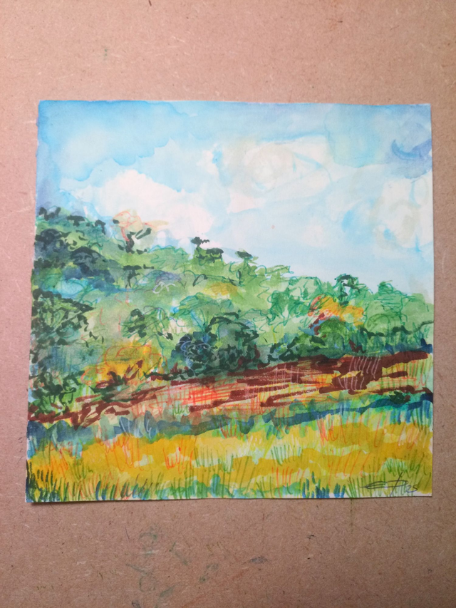 L'herbe sèche au soleil