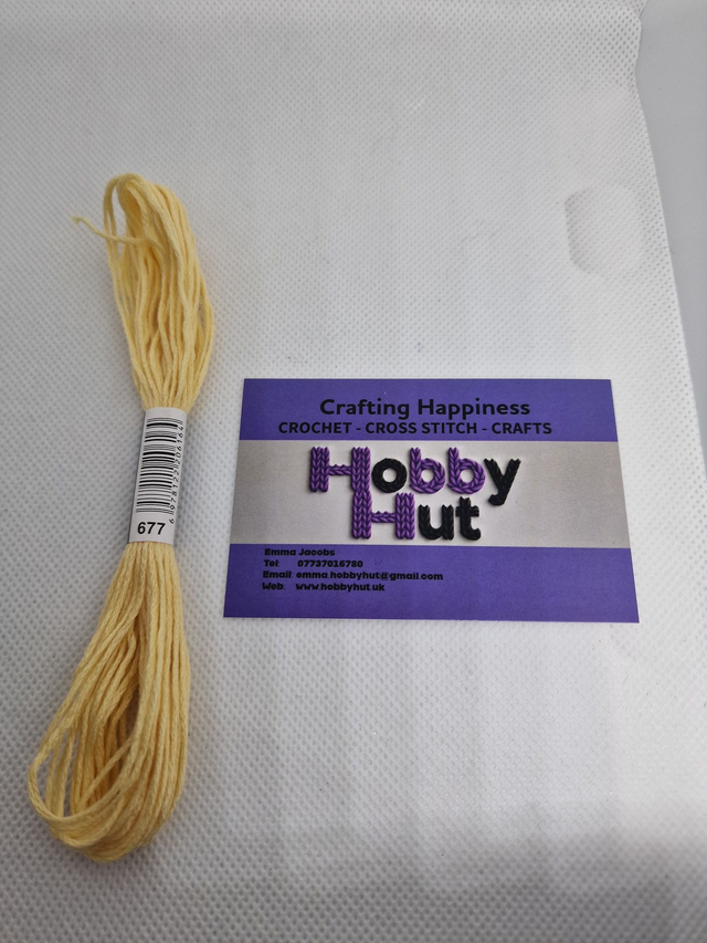 Embroidery Thread - 677