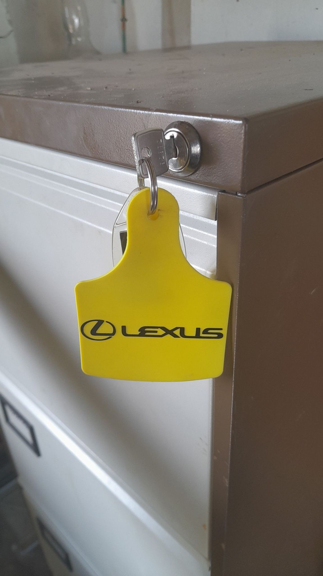 Lexus key ring