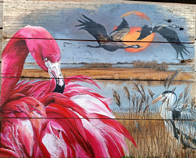 Plumes dans tous ces états