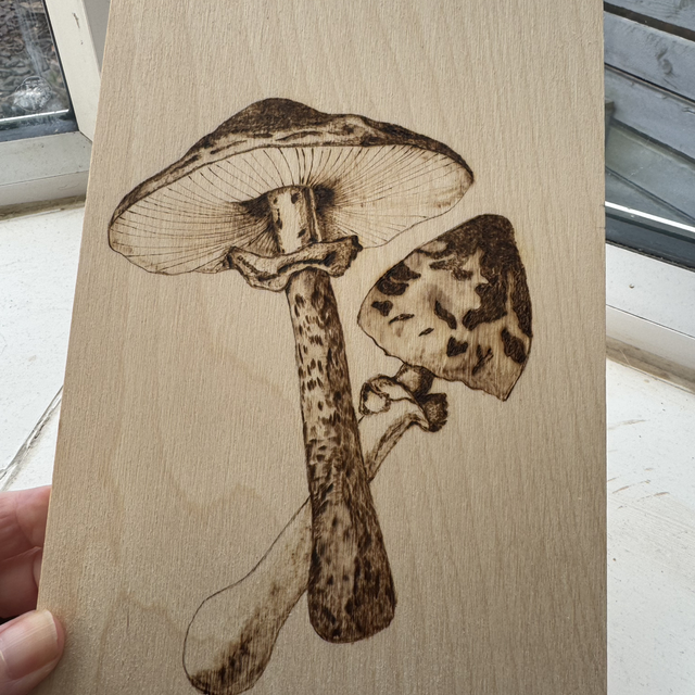 Sunday 11th October Fungi Inspired Pyrography Workshop at A touch of Craft 