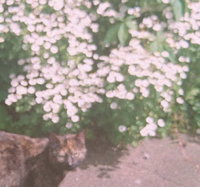 CANCER 2023 - Jade Montserrat