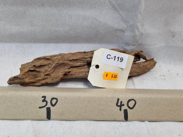 Racine Mangrove C-119