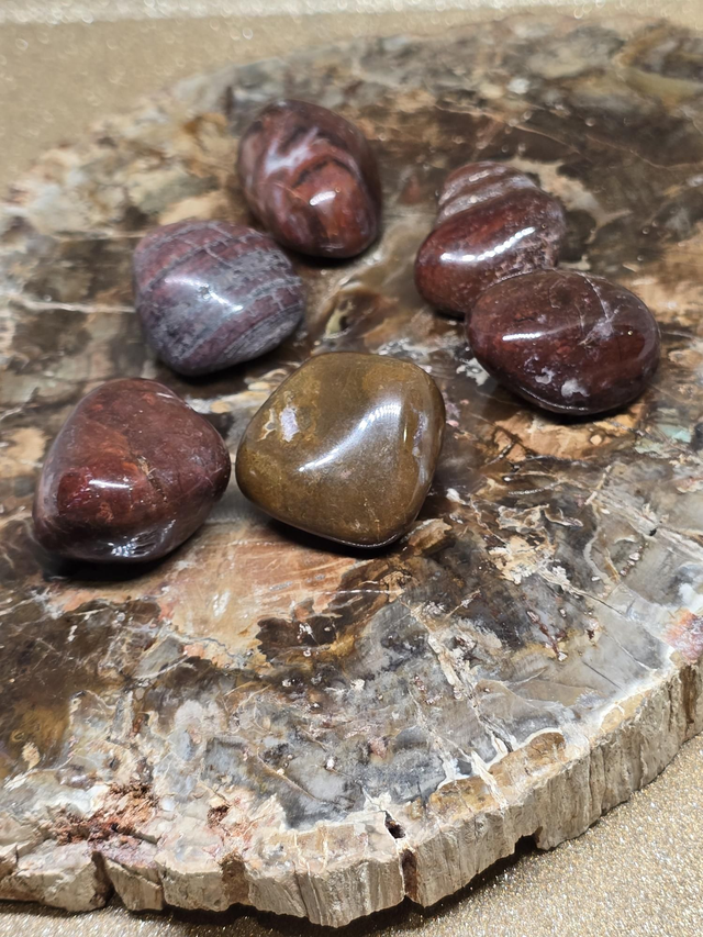 Bois fossilisé pierre roulée 