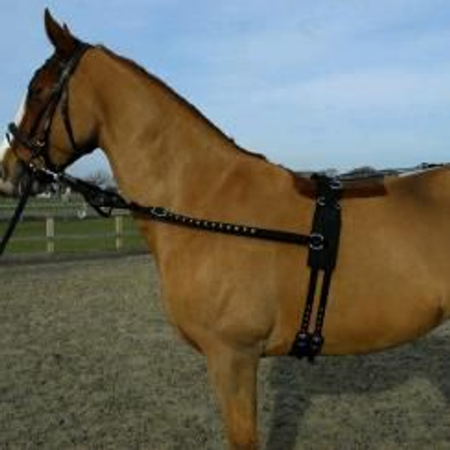 Nylon Breaking Harness