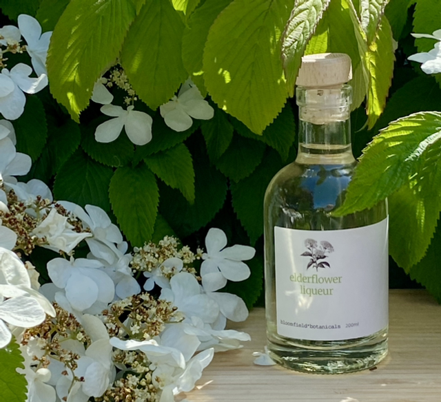 Elderflower liqueur 