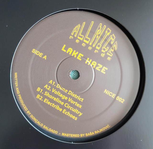 Lake Haze - Shoreline Circuitry - NICE002 -12"