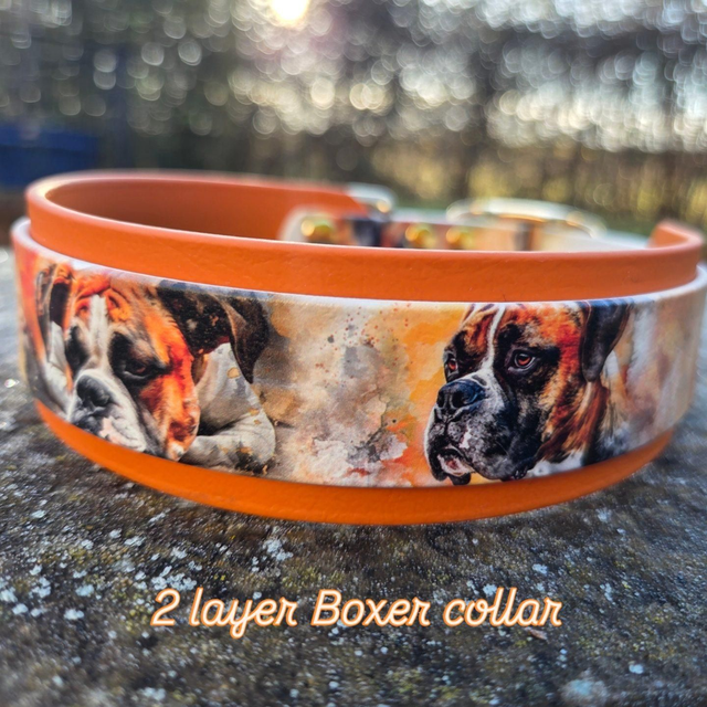 2 layer Boxer print collar to fit 16-20 ins neck 