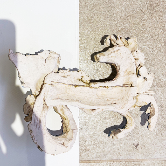 Hippocampus wall hung sculpture- Tish Campbell Exhibition