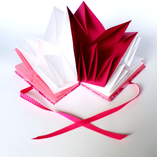 Map fold book with shells in pink and white