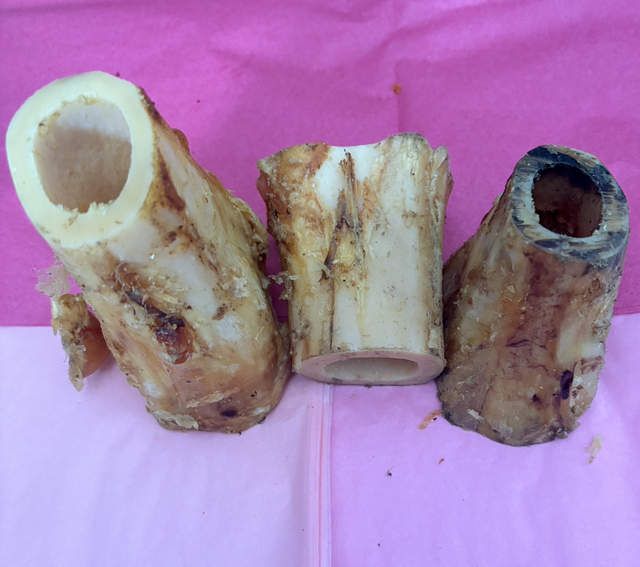 Hollow Bone Marrow 