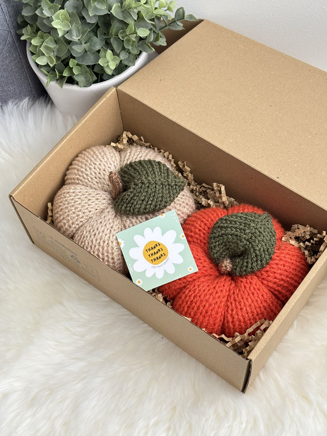 Citrouilles (Lot de 2)  