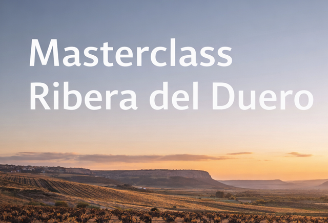 MASTERCLASS Ribera del Duero