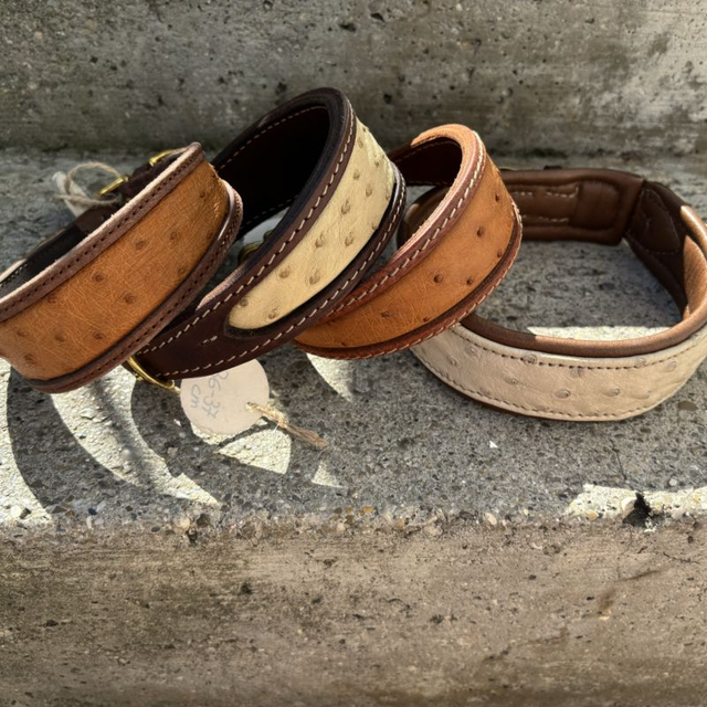 Hundehalsband "Straußenleder"