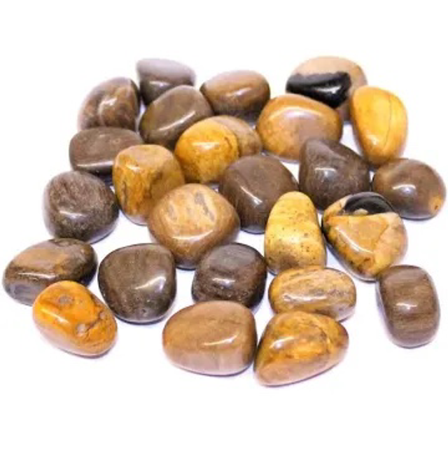 Petrified Wood Tumblestone