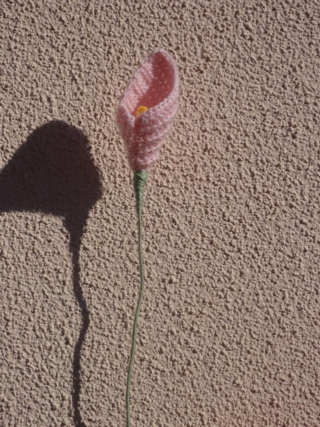 Arum rose clair pailleté 