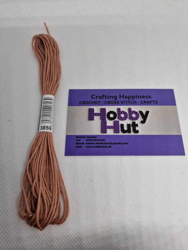 Embroidery Thread - 3859