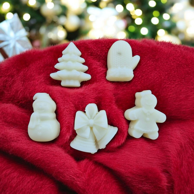 Collection Hiver - Boite 10 mini fondants