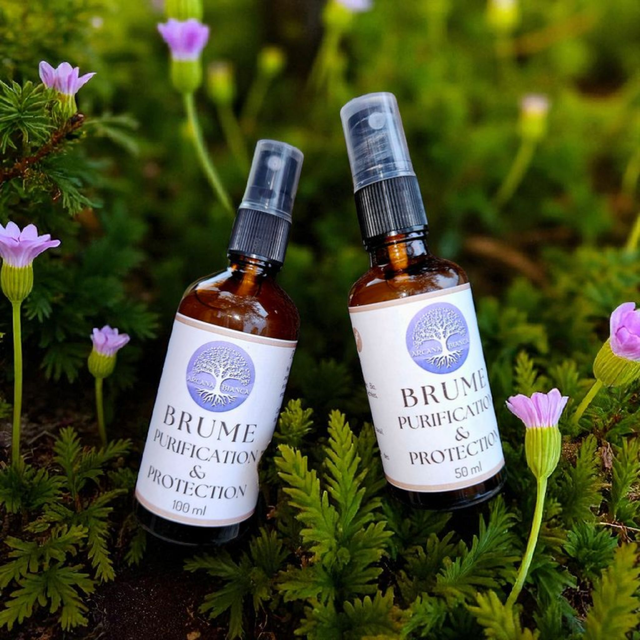 Brume énergétique PURIFICATION &amp; PROTECTION aux Huiles Essentielles BIO
