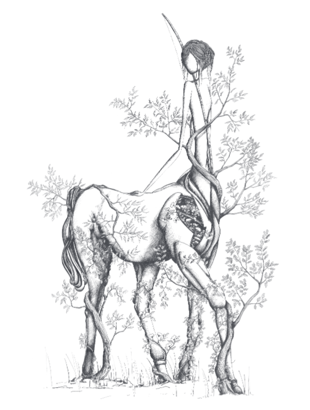 Sagittaire - Edition Art