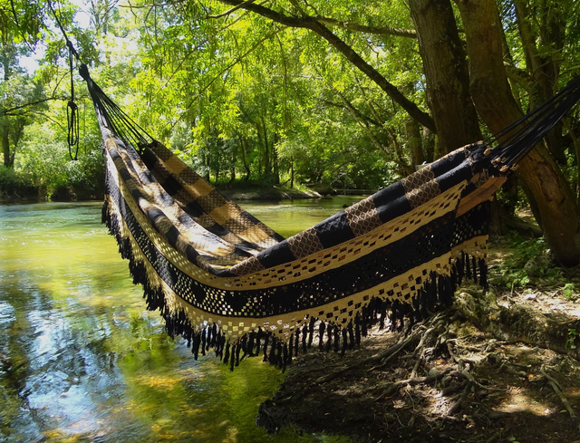 Trio Bucho De Boi Damier 