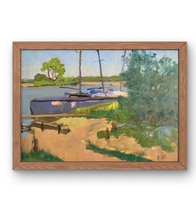 Baie de Ispes - lac de Biscarrosse