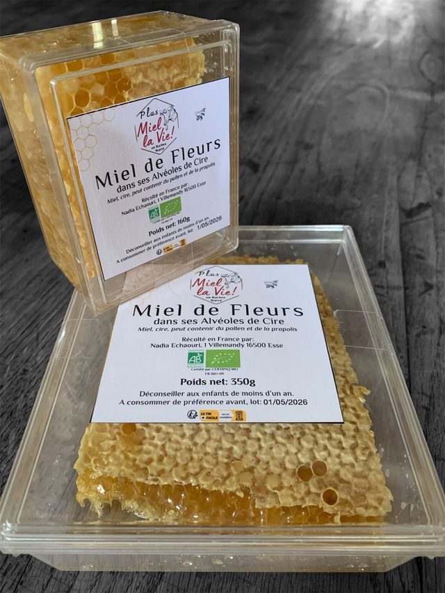 Miel dans ses alvéoles de cire